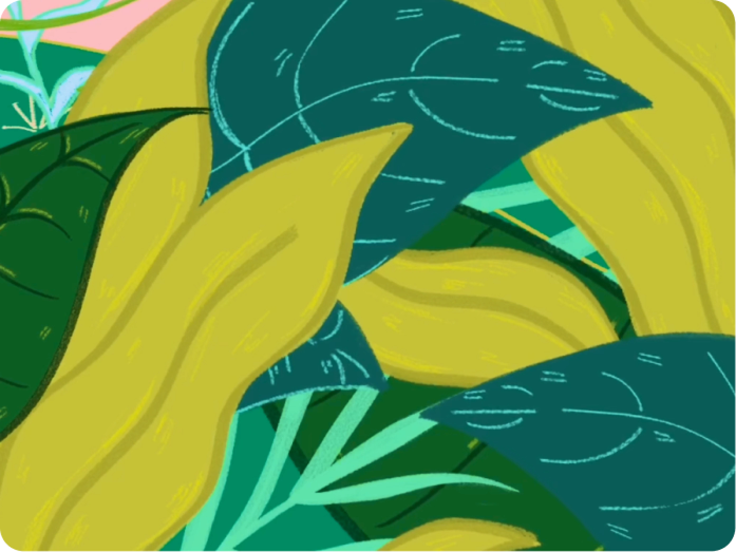 Tsa Tsa Petski detail